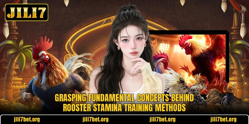 Grasping fundamental concepts behind rooster stamina training methods Grasping fundamental concepts behind rooster stamina training methods