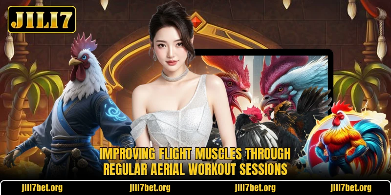 Improving flight muscles through regular aerial workout sessions Improving flight muscles through regular aerial workout sessions