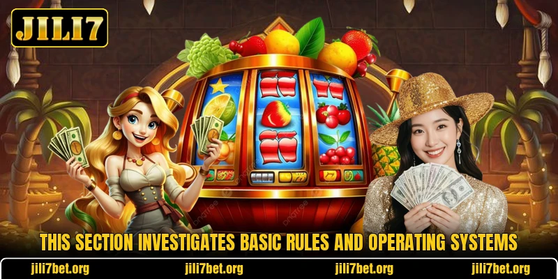 This section investigates basic rules and operating systems This section investigates basic rules and operating systems