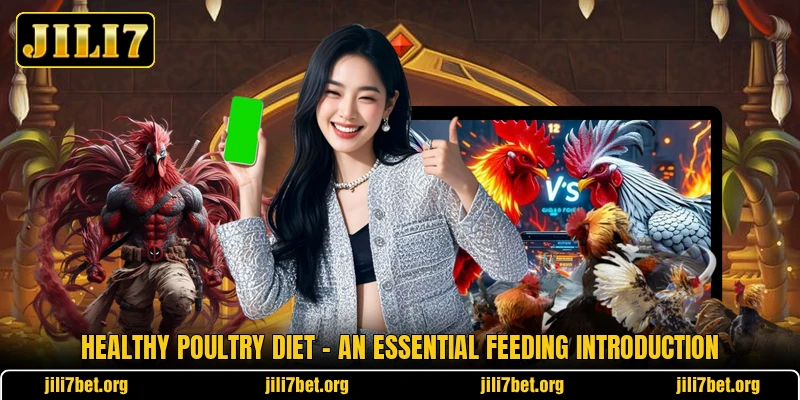 Healthy Poultry Diet - An Essential Feeding Introduction Healthy Poultry Diet - An Essential Feeding Introduction