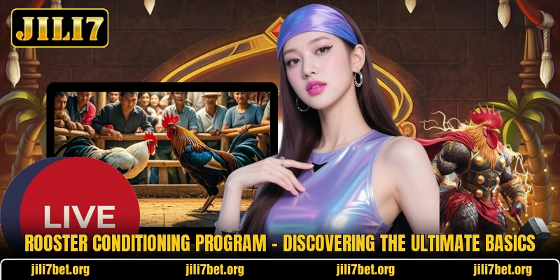Rooster Conditioning Program - Discovering The Ultimate Basics Rooster Conditioning Program - Discovering The Ultimate Basics
